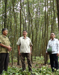 Các hội viên NCT xã Tân Mỹ, huyện Lạc Sơn thực hiện hiệu quả phong trào trồng cây, trồng rừng. Phong trào đem lại môi trường sống trong lành và lợi ích phát triển kinh tế gia đình.